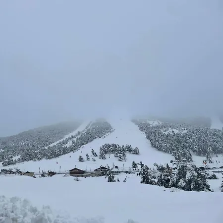 La Cigale Gourdon (Alpes-Maritimes)